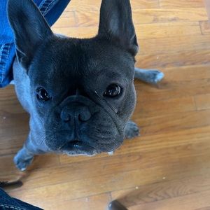 Meet your Posher, Omar